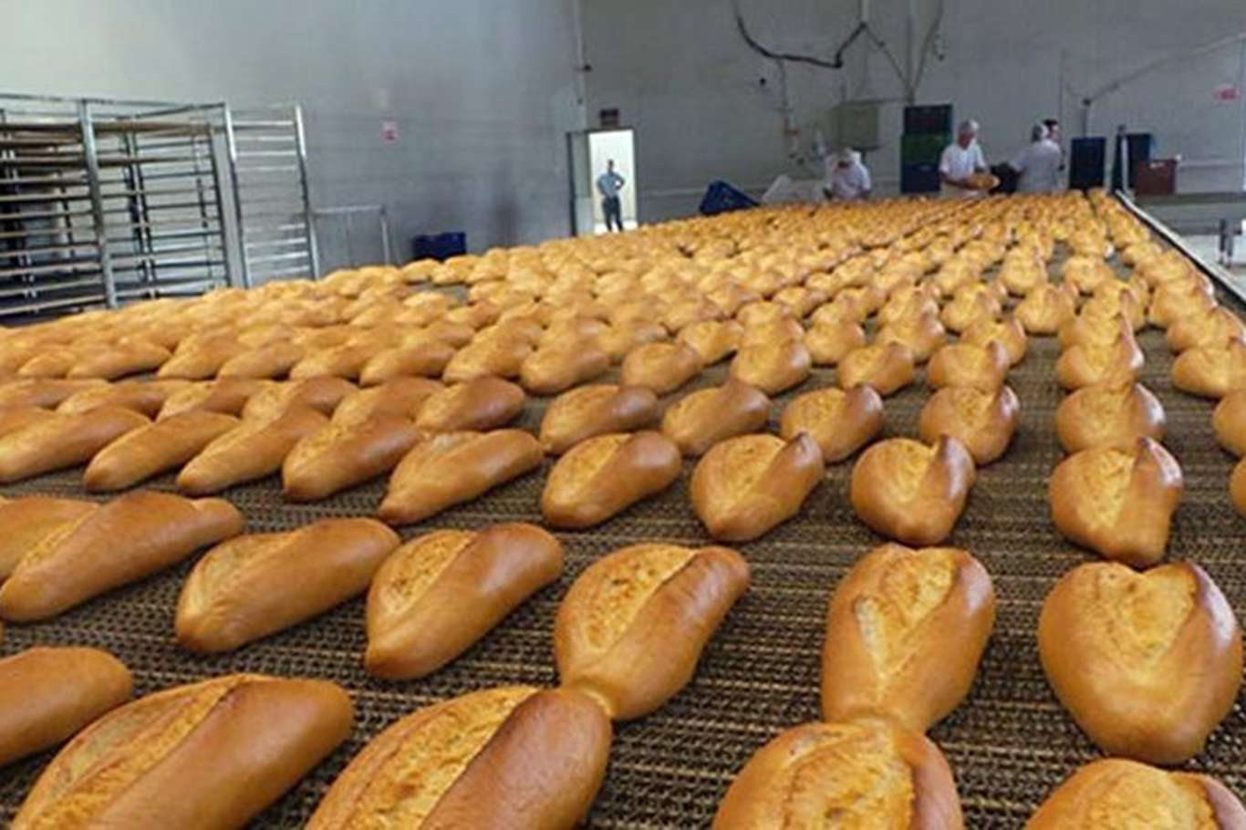 İBB: Halk Ekmek fiyatı değişmeyecek İBB: Halk Ekmek fiyatı değişmeyecek